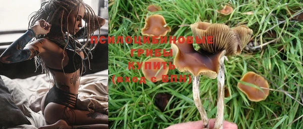 мет Зеленодольск